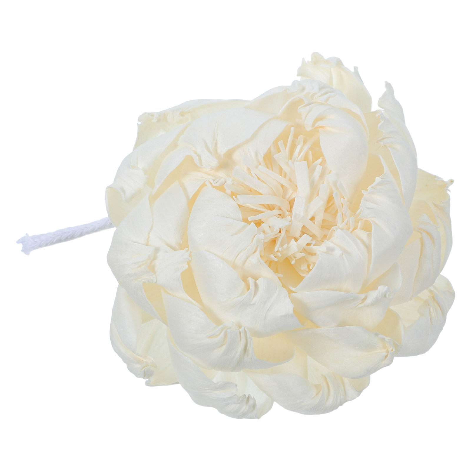 Peony Head Fragrance Diffuser  - đánh giá và giá Home Fragrance Flowers