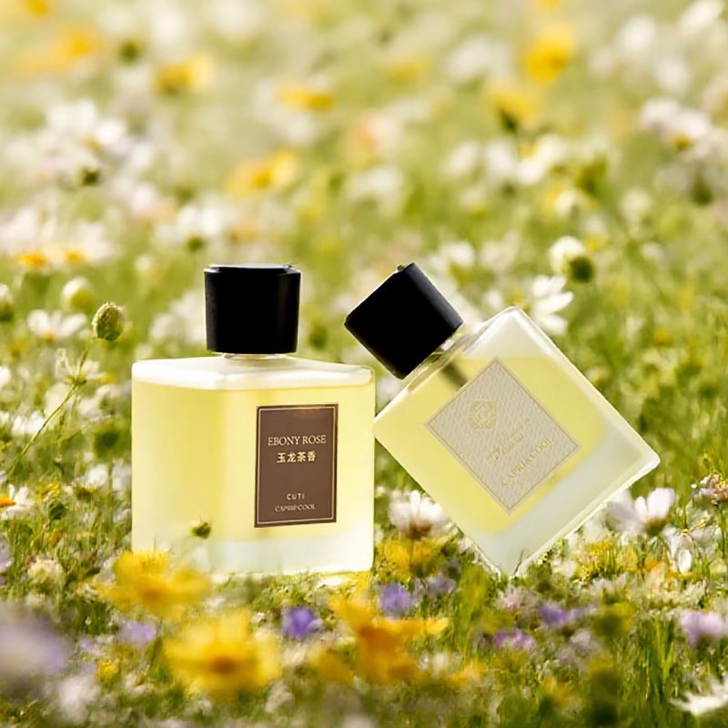 Home Living Room Fresh Fragran - đánh giá và giá Home Fragrance Room Spray
