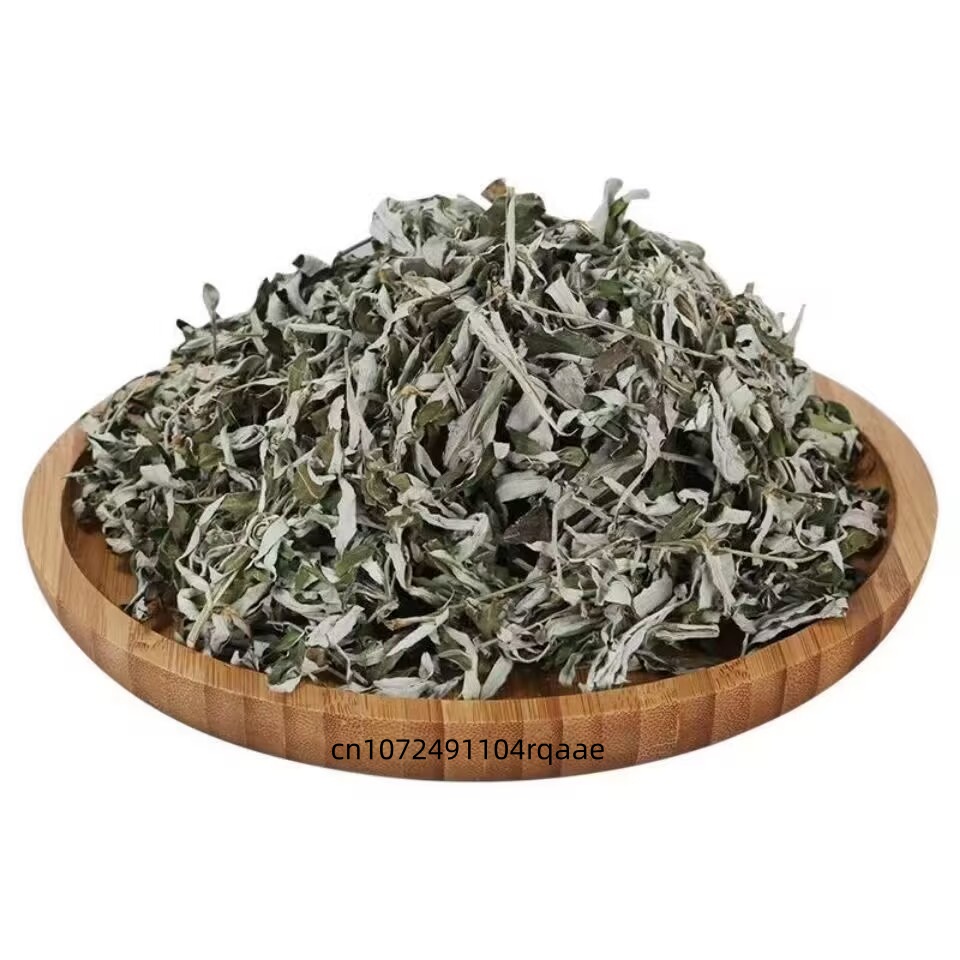 Organic Dried Artemisia Argyi  - đánh giá và giá Home Fragrance Long Lasting